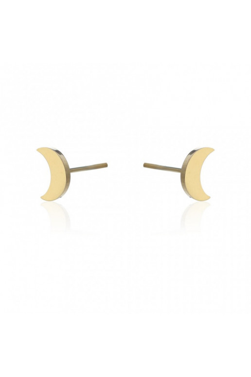 gold color-plated stainless steel earrings KST2114