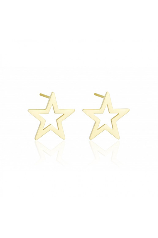 gold color-plated stainless steel earrings KST1312