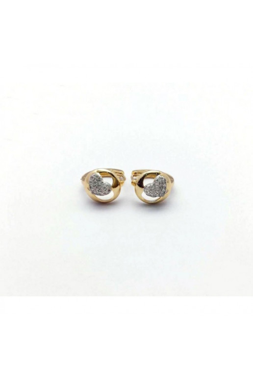 gold color-plated stainless steel earrings KST1112