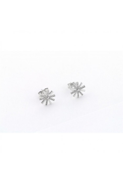 Stainless steel earrings srebrne KST1284