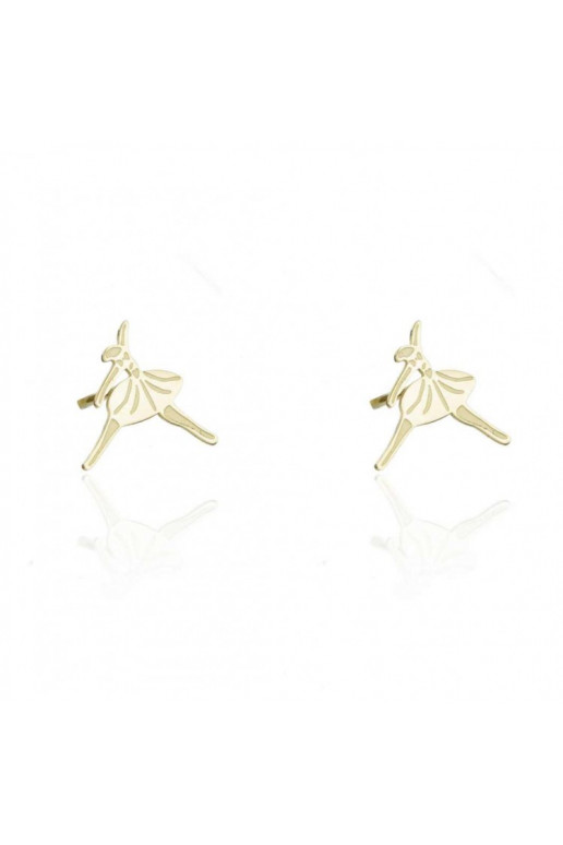 Stainless steel earrings KST1379