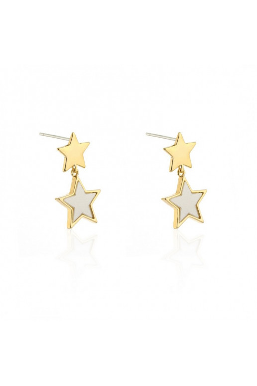 gold color-plated stainless steel earrings KST1636