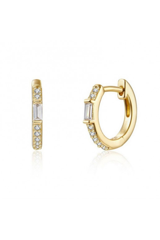 gold color-plated stainless steel earrings  KST2173