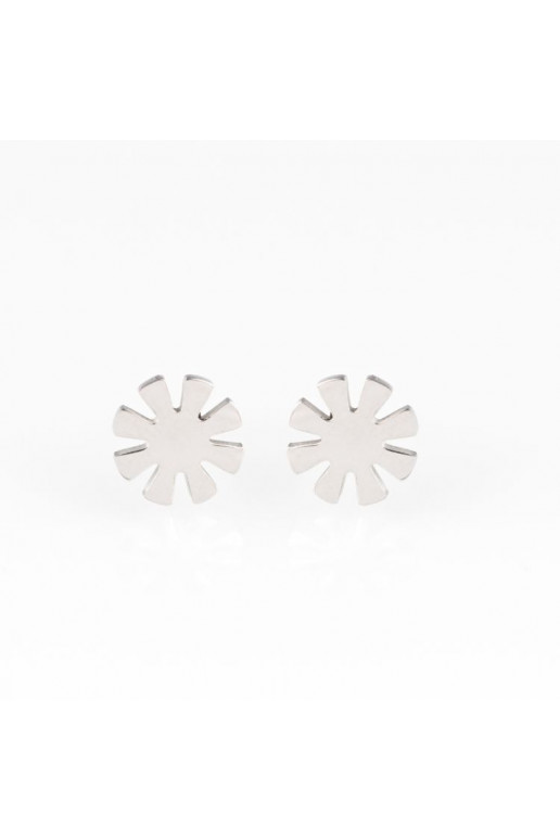 Stainless steel earrings K558 silver color