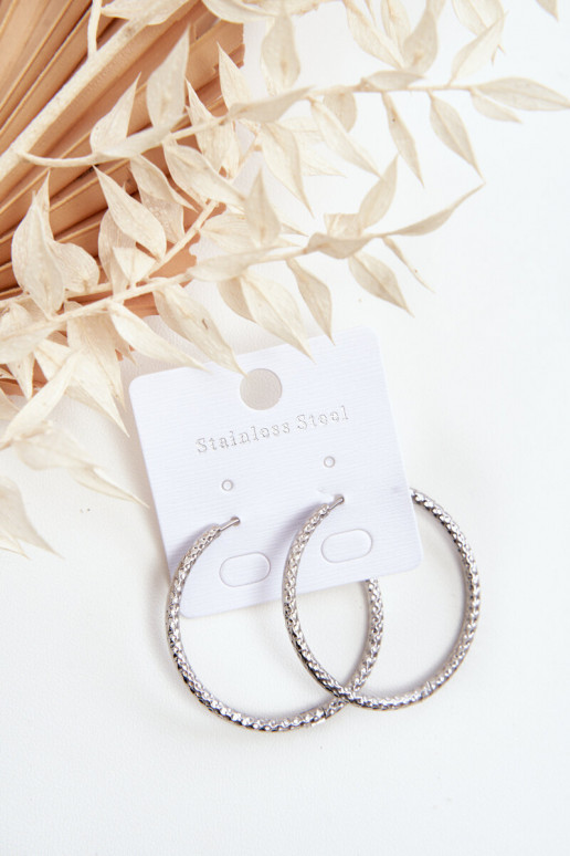 Fashionable earrings in the shape of a circle Silver