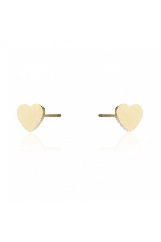 gold color-plated stainless steel earrings  KST2115