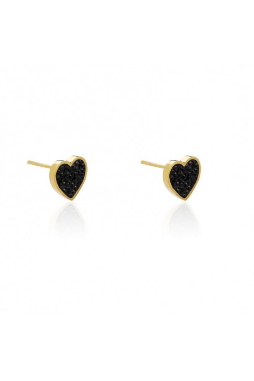 gold color-plated stainless steel earrings  KST1896