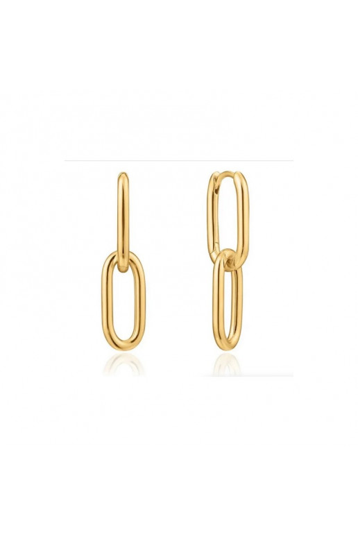 Stainless steel earrings plated with gold KST3291