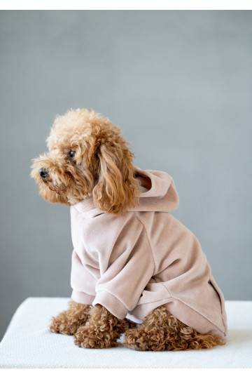 velvet dog hoodie