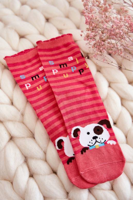Women's Funny Cotton Socks 5-Pack Multicolor